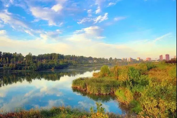 郑州黄河国家湿地公园_郑州黄河湿地自然保护区_郑州黄河国家湿地公园门票