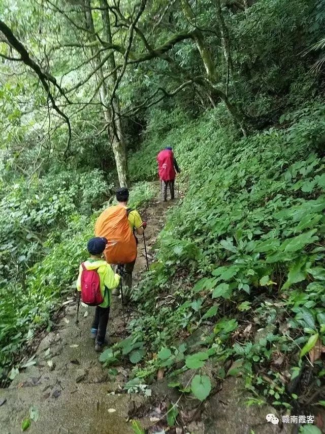 齐云山在哪_齐云山风景名胜区_齐云山南酸枣糕