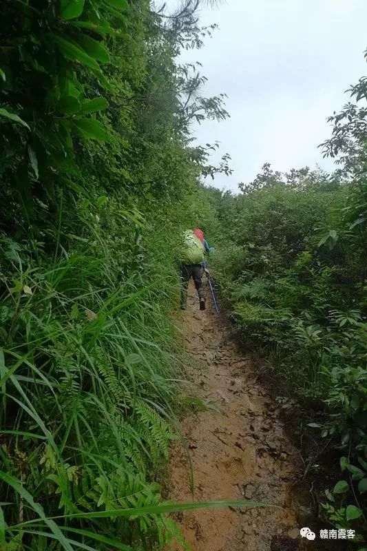 齐云山南酸枣糕_齐云山在哪_齐云山风景名胜区