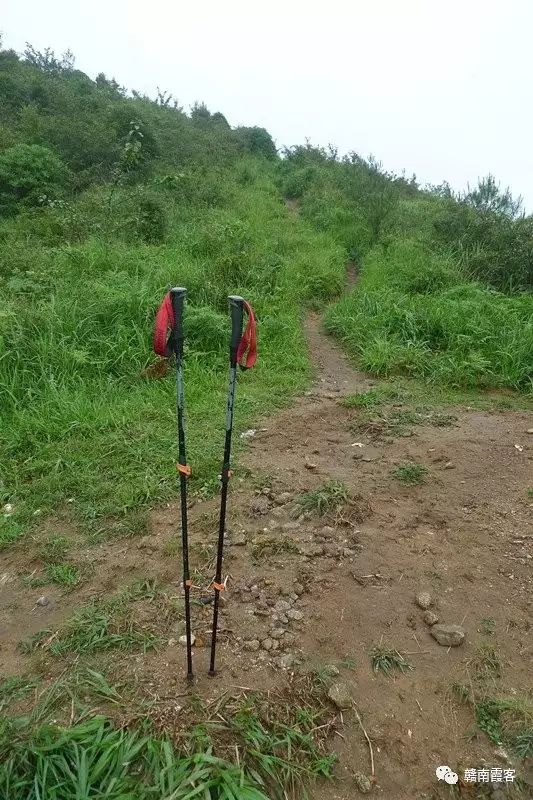 齐云山南酸枣糕_齐云山风景名胜区_齐云山在哪