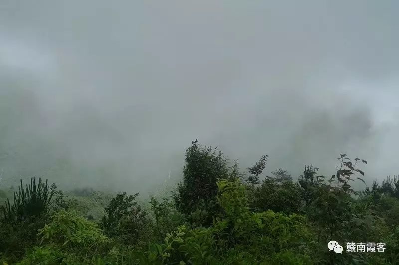 齐云山在哪_齐云山风景名胜区_齐云山南酸枣糕