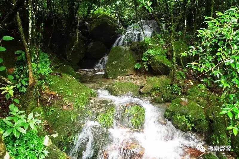 齐云山在哪_齐云山南酸枣糕_齐云山风景名胜区