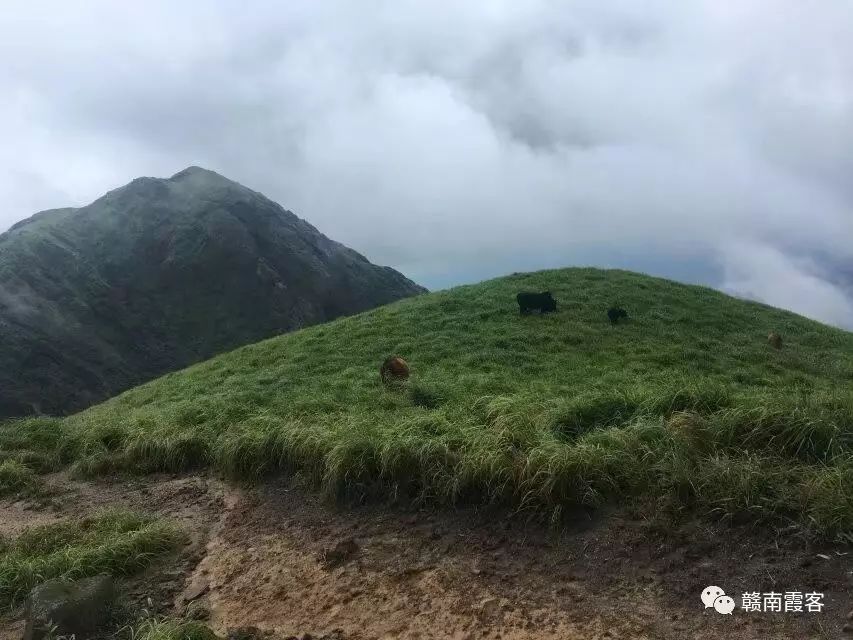 齐云山在哪_齐云山风景名胜区_齐云山南酸枣糕