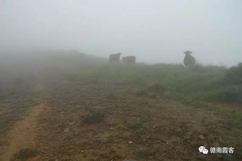 齐云山在哪_齐云山风景名胜区_齐云山南酸枣糕