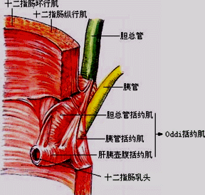 中征码查询渠道_中征码查询_中征码系统