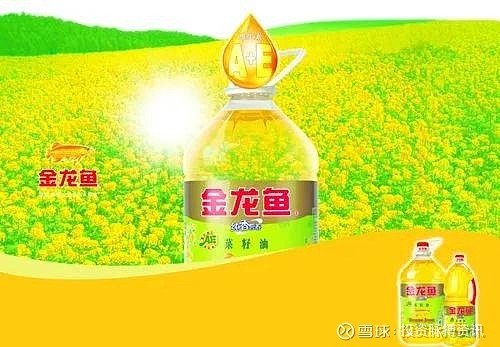 金龙鱼价格多少一条_金龙鱼价格多少钱一只_金龙鱼价格