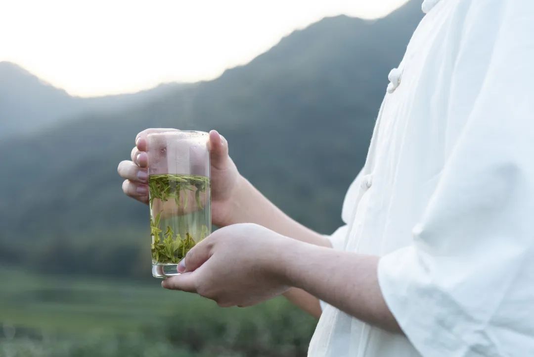 浙江杭州盛产的茶叶是什么茶叶_茶叶浙江杭州盛产的是_中国茶叶历史悠久浙江杭州盛产