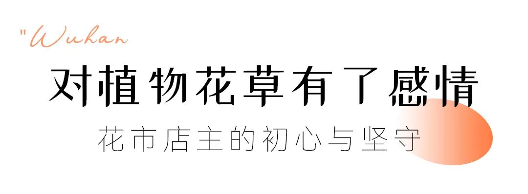 花鸟市场武汉_花鸟市场武汉市花鸟市场_武汉花鸟市场