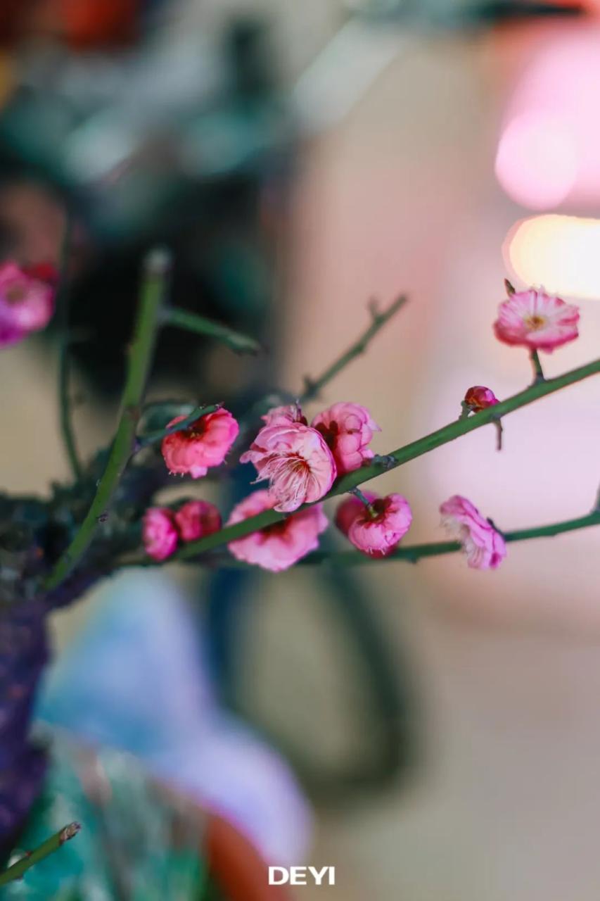 花鸟市场武汉_武汉花鸟市场_花鸟市场武汉市花鸟市场