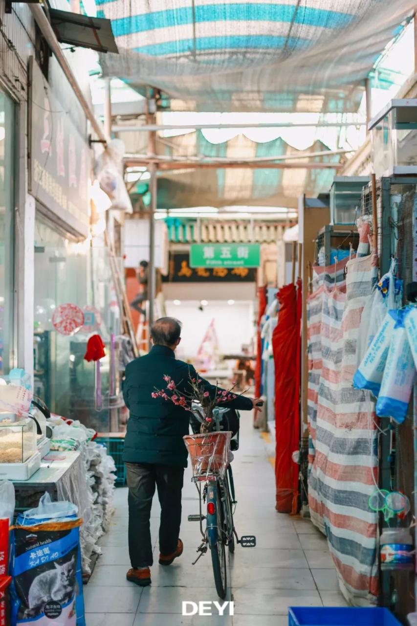 花鸟市场武汉市花鸟市场_武汉花鸟市场_花鸟市场武汉