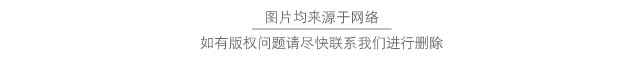 九州岛日本地图_日本九州岛景点_日本九州岛