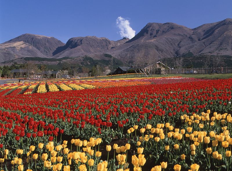 日本九州岛景点_日本九州岛_九州岛日本地图