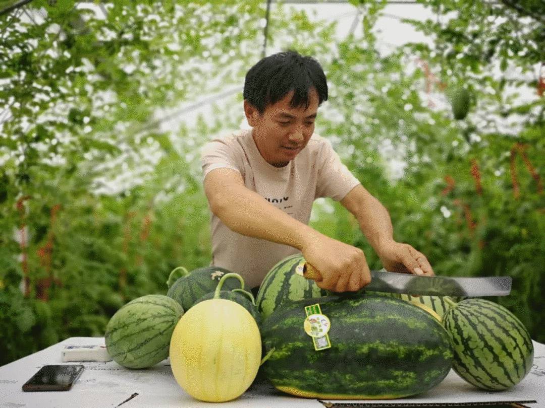 皮条客为什么叫皮条_皮条马_皮条客是什么意思